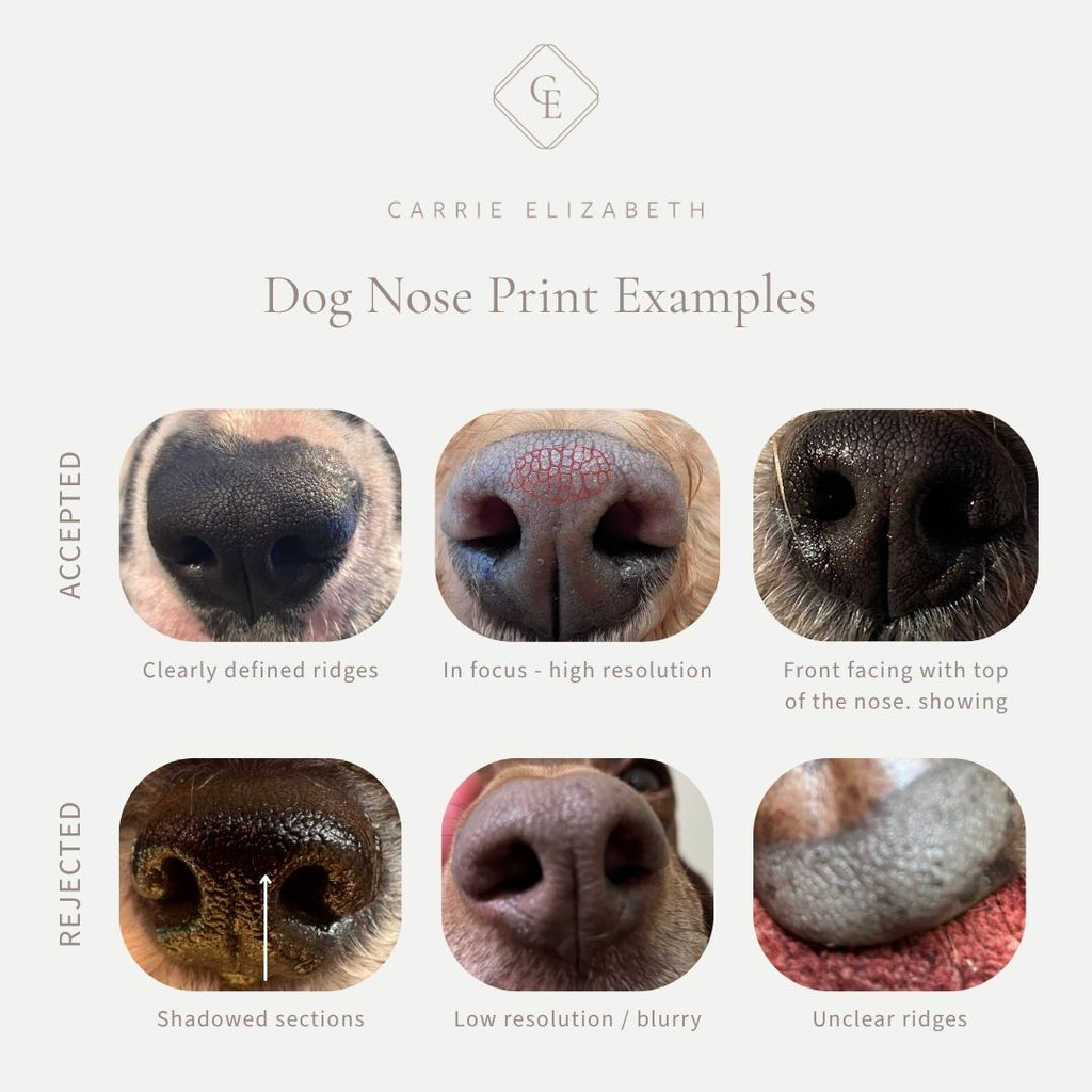Custom Made Dog Nose Print Pendant Necklace
