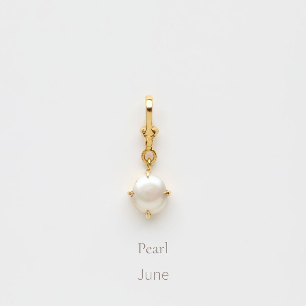 Birthstone Albert Vintage Dog Clip Charm