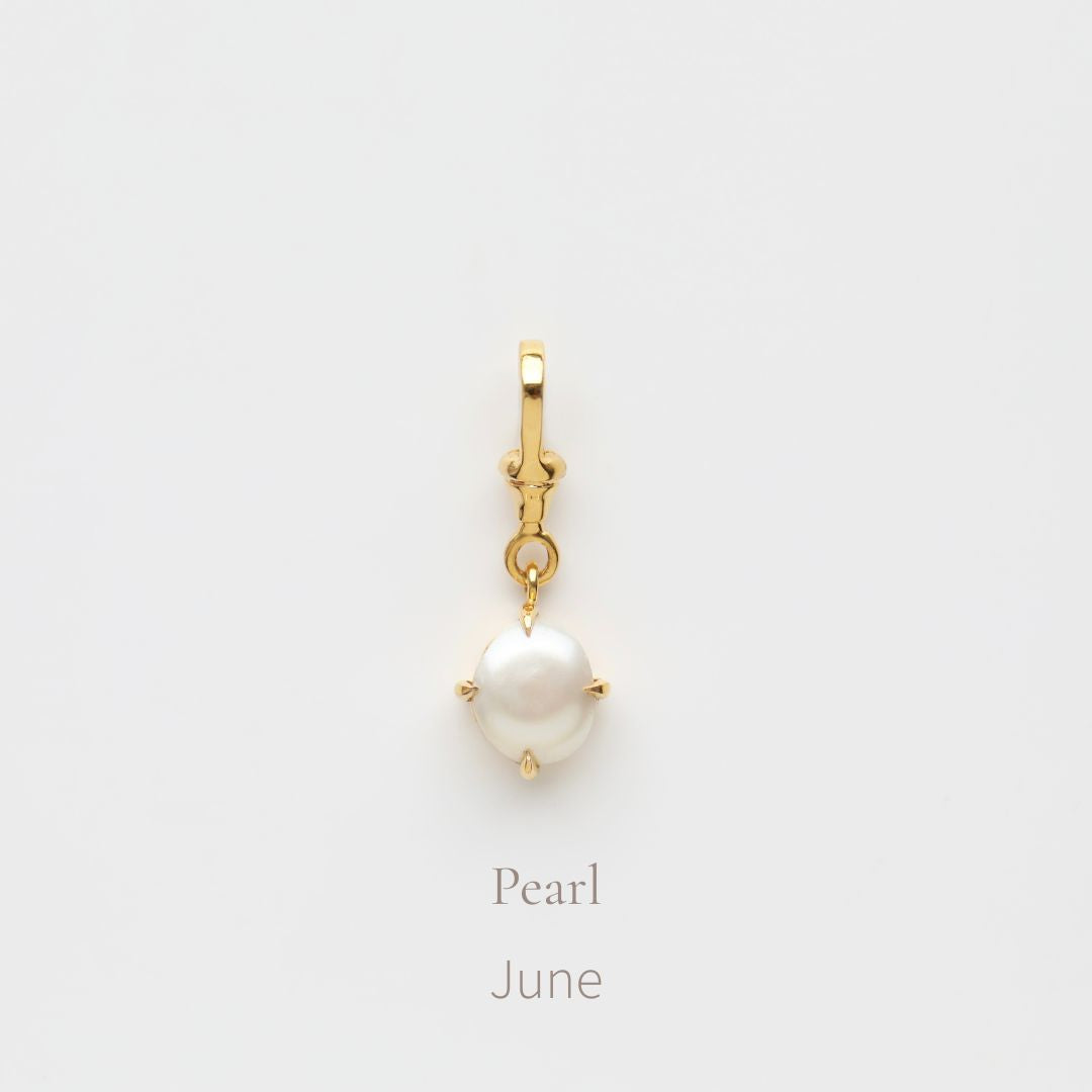 Birthstone Albert Vintage Dog Clip Charm