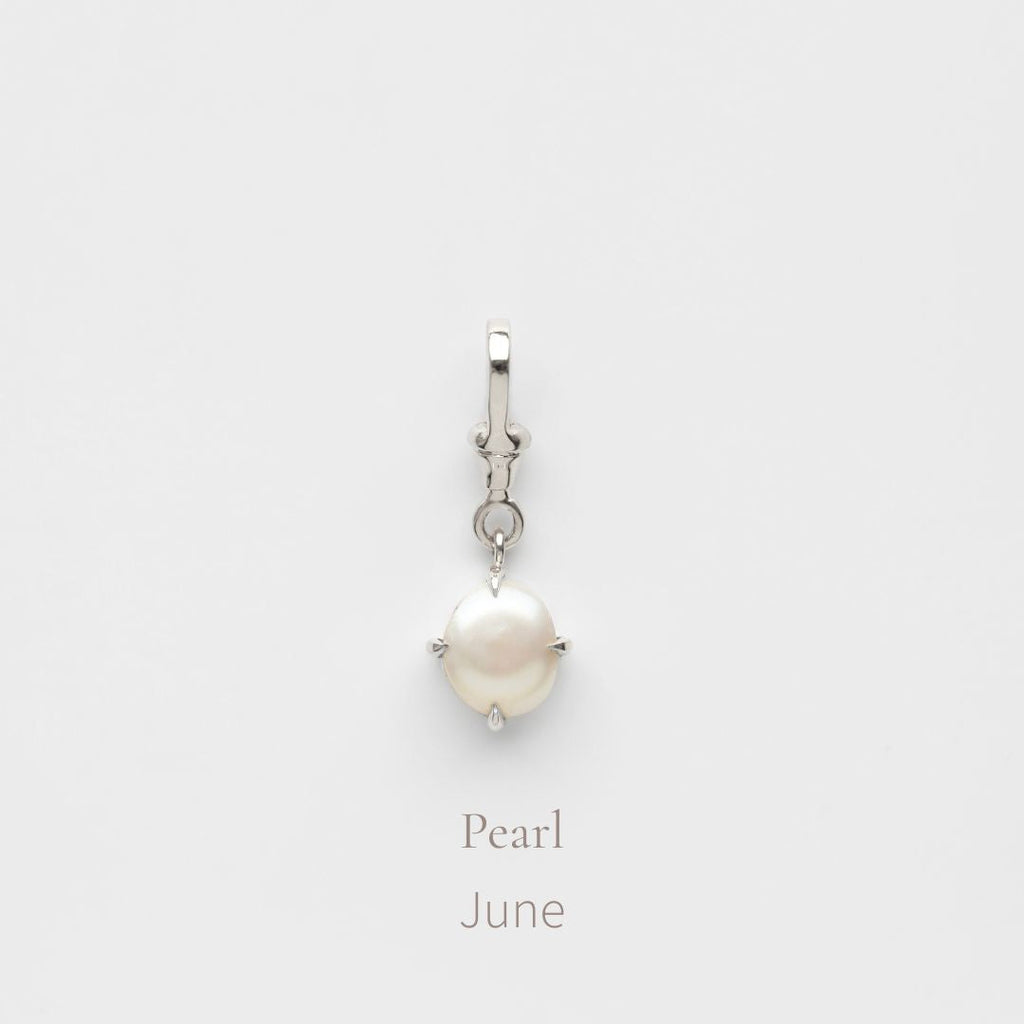 Birthstone Albert Vintage Dog Clip Charm