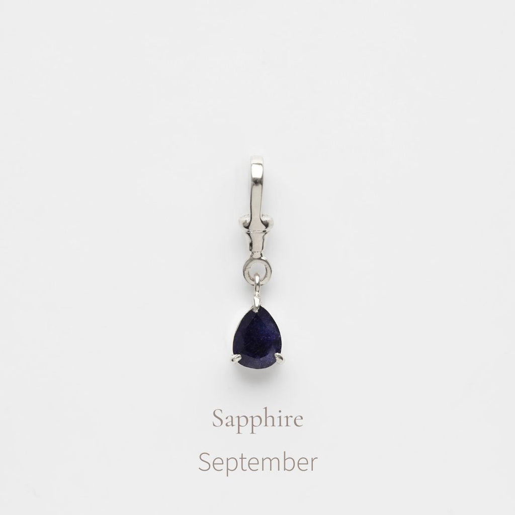Birthstone Albert Vintage Dog Clip Charm