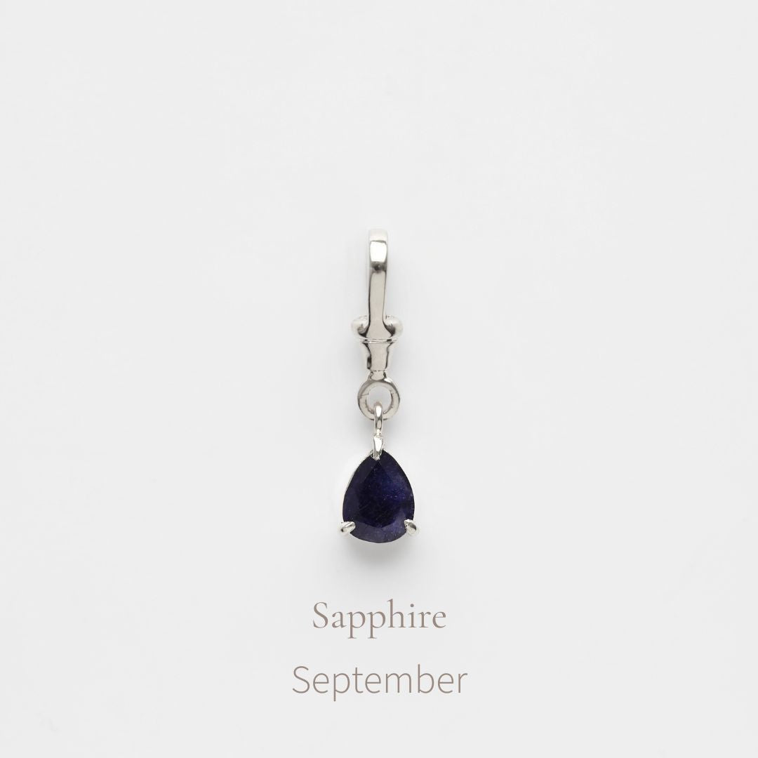 Birthstone Albert Vintage Dog Clip Charm