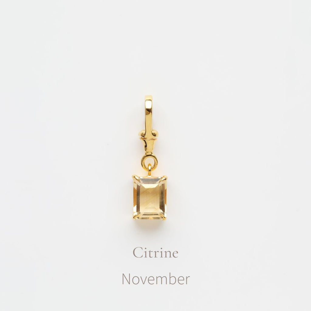 Birthstone Albert Vintage Dog Clip Charm