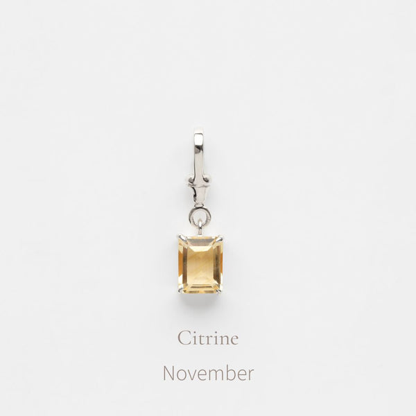 Birthstone Albert Vintage Dog Clip Charm