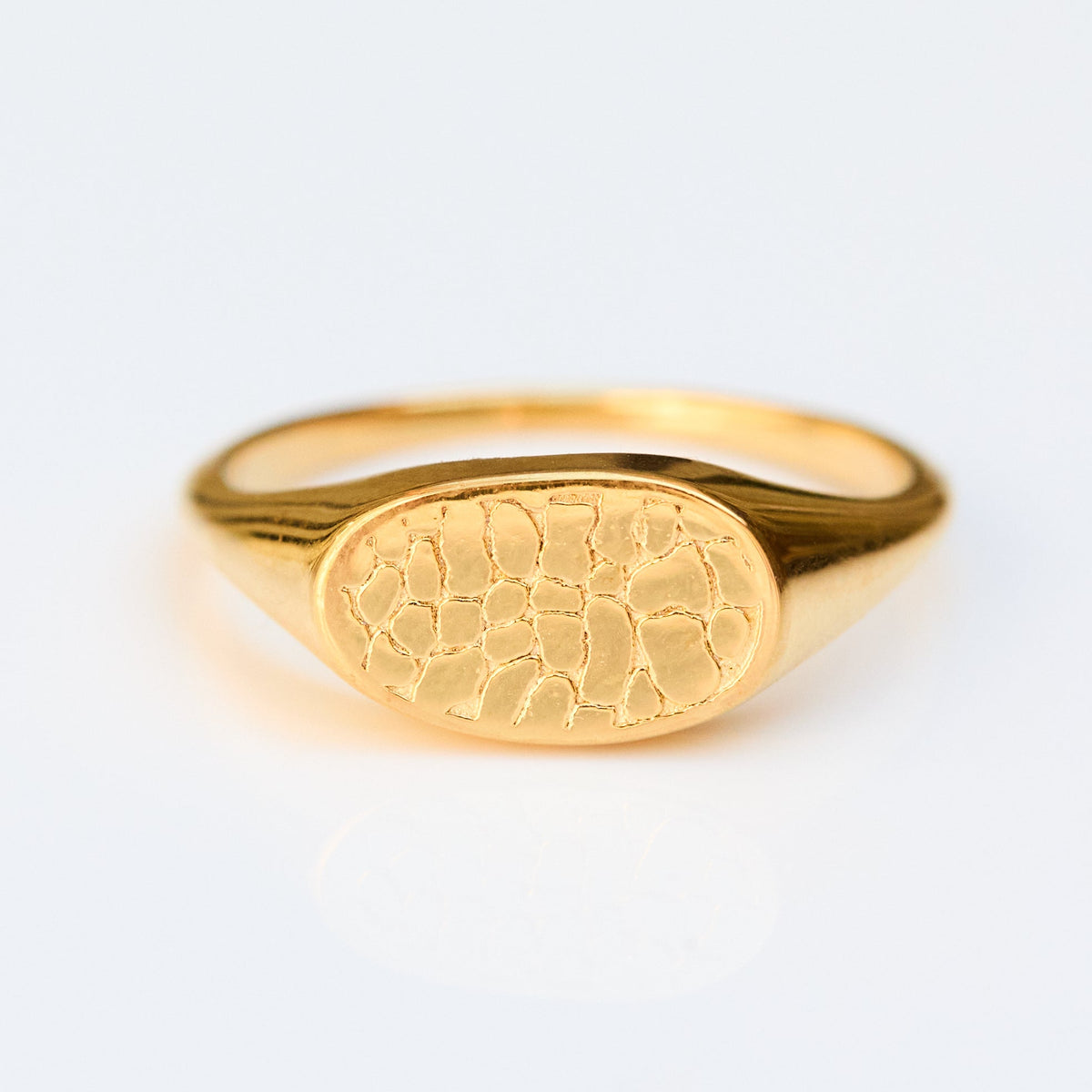 Custom Made Dog Nose Print Signet Ring Main image