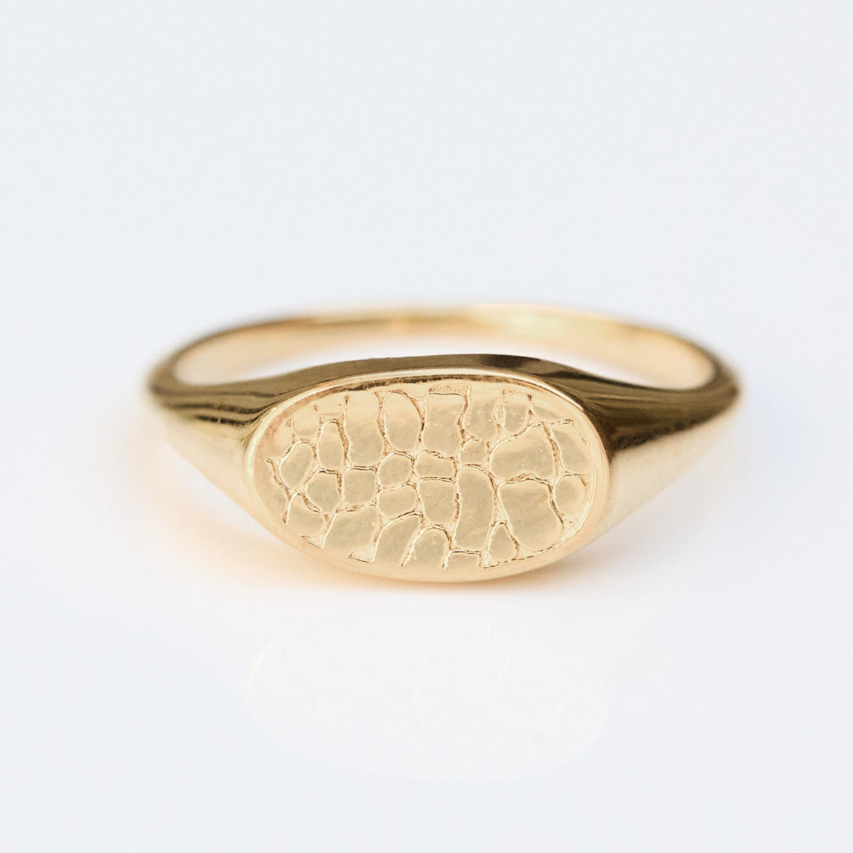 Custom Made Treasured Dog Nose Print Signet Ring Main image
