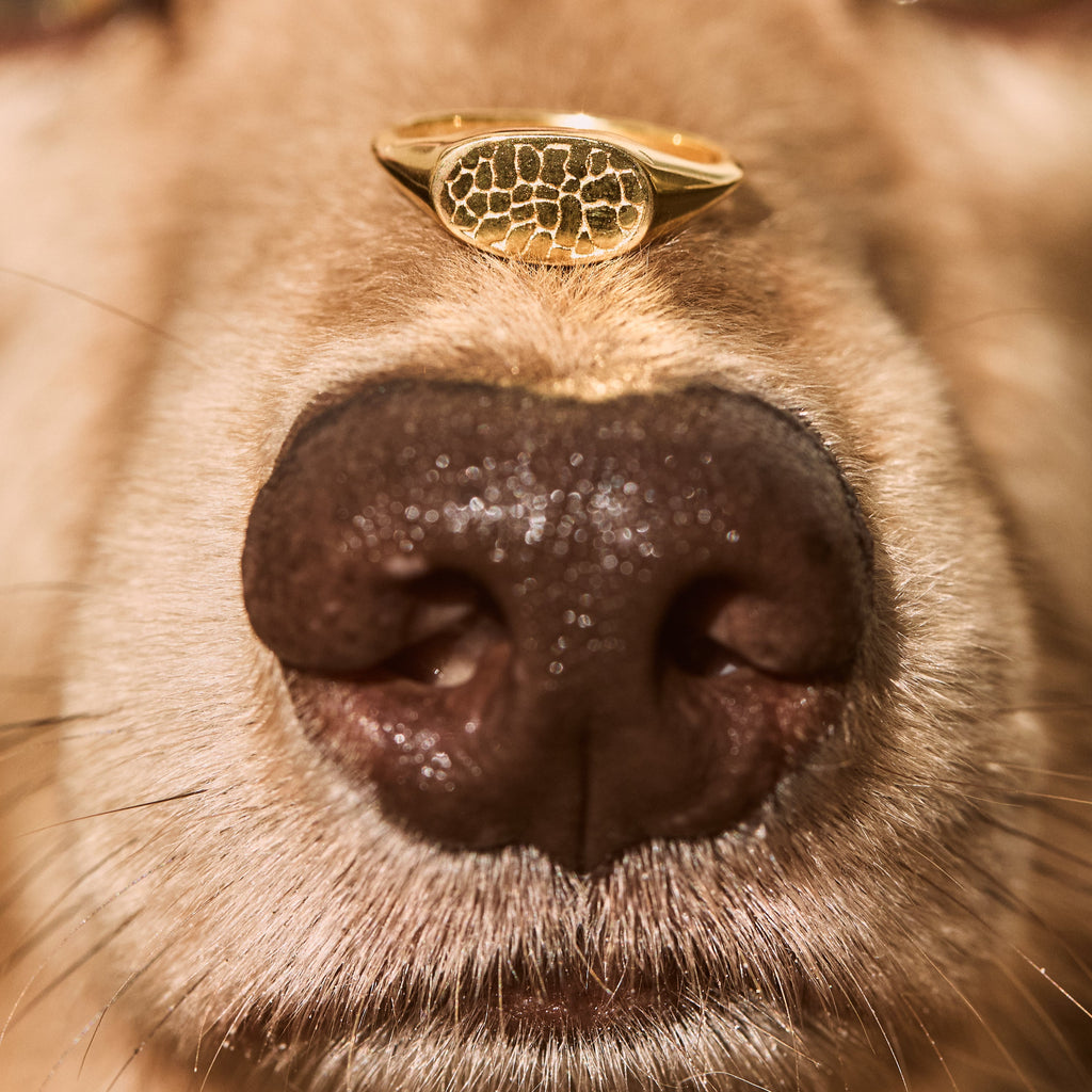 Custom Made Dog Nose Print Signet Ring