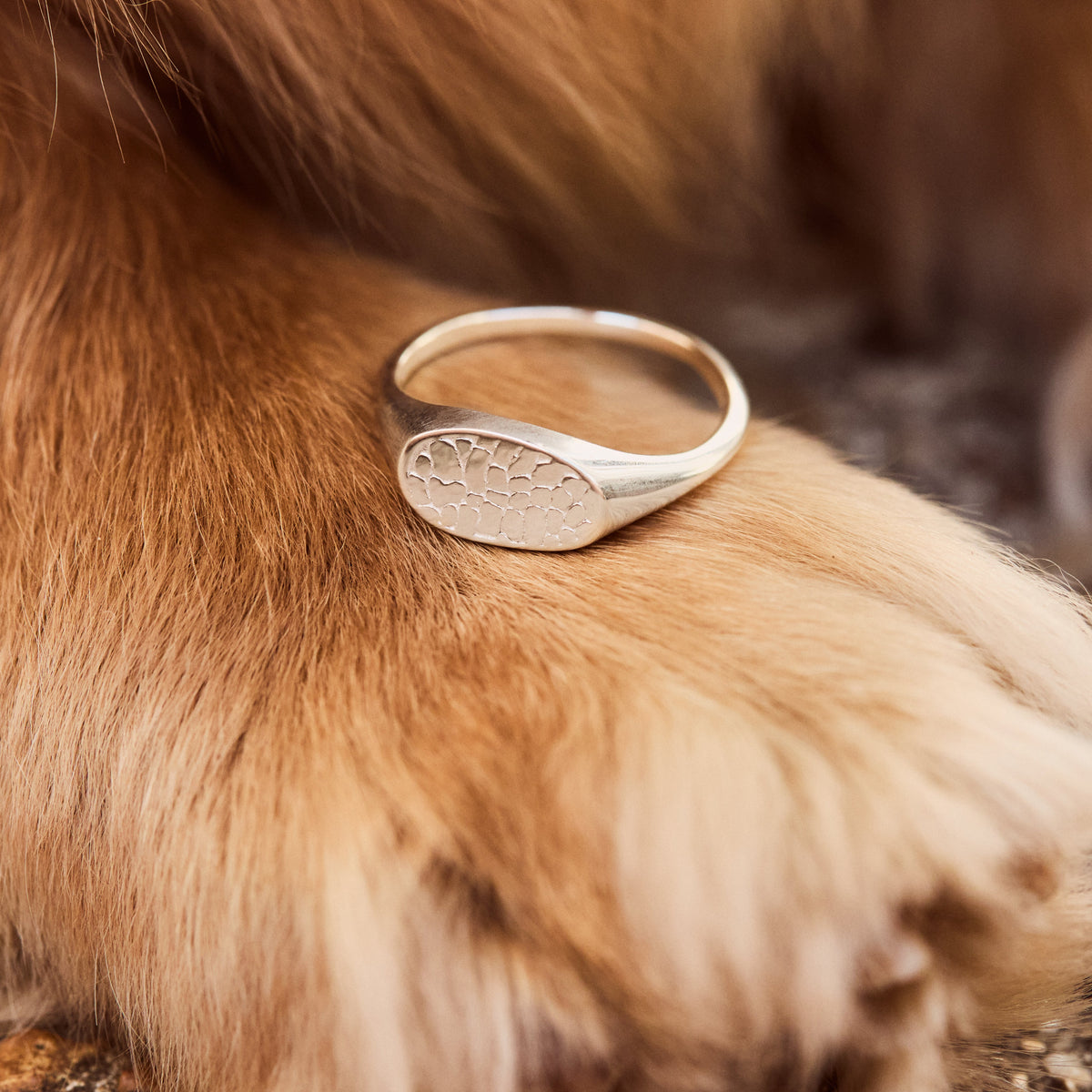 Custom Made Dog Nose Print Signet Ring