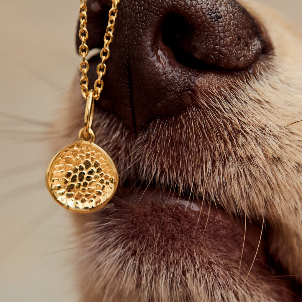 Custom Made Dog Nose Print Pendant Necklace