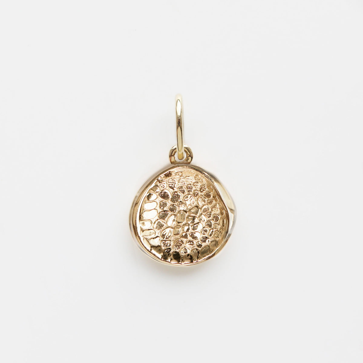 Custom Made Treasured Dog Nose Print Pendant