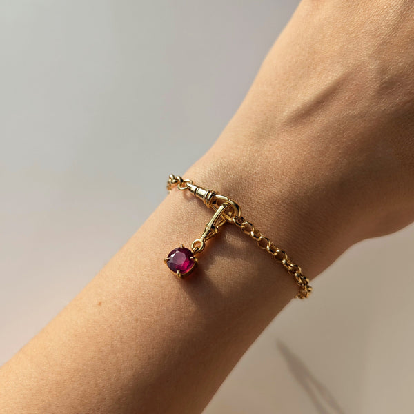 Birthstone Albert Vintage Dog Clip Charm
